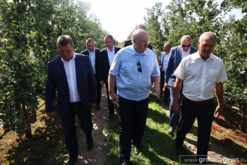 Александр Лукашенко посетил ПК имени Кремко. Обсуждались вопросы закладки садов и обеспечения внутреннего рынка плодоовощной продукцией продукцией